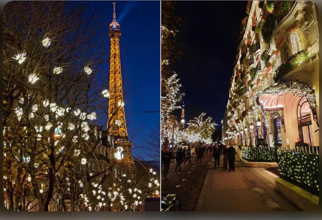 Appartamento Champs-élysées Montaigne Luxe *